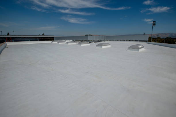 Best Hot Roofs  in Maria Stein, OH